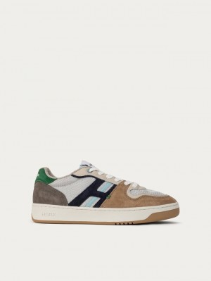 Tenis Hoff Mandi House Hombre Multicolor | KETI-91074