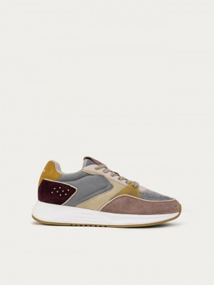 Tenis Hoff Surry Hills Mujer Multicolor | XCTB-10487